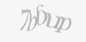 Защитный код