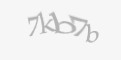 Защитный код