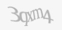 Защитный код