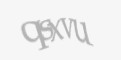 Защитный код