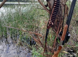 В Свердловской области разрешили охотиться на медведя