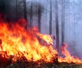 В Кушве, Красноуральске и Верхней Туре опасная ситуация с пожарами