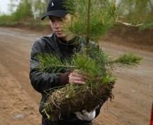Сад Памяти в Верхней Туре 