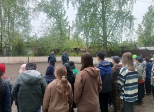 Безопасное детство с Госавтоинспекцией