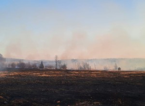 В деревне Кедровка произошел крупный пожар 