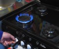 Газовым службам может быть предоставлено право свободного доступа в жилые помещения  