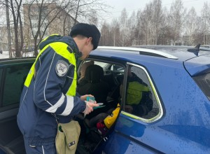 Безопасность юных пассажиров.