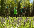В Свердловской области полным ходом идет подготовка к летнему туристическому сезону  