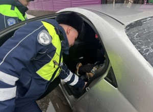 Дети – пассажиры.