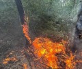 В Кушве для тушения лесных пожаров привлекают волонтеров