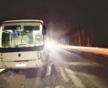 На трассе столкнулись Renault Duster, грузовой фургон, «Газель» и автобус НЕФАЗ