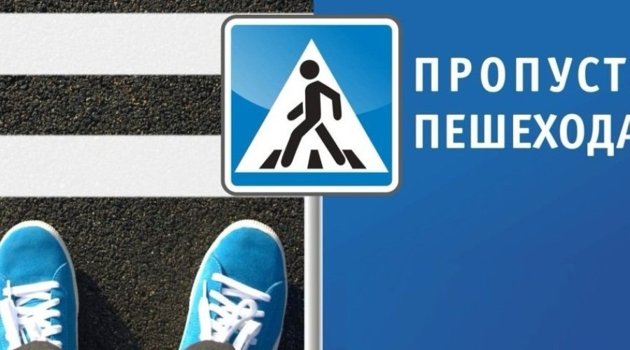 Профилактическое мероприятие «Пешеход. Пешеходный переход»