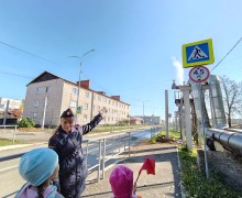 Сотрудники Госавтоинспекции провели пешеходную экскурсию «Мой безопасный путь» для дошкольников