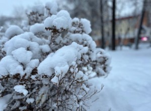 Снегопады накроют Урал