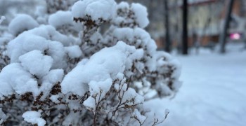 Снегопады накроют Урал