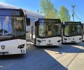 В области утвердили планы обновления общественного транспорта до 2030 года