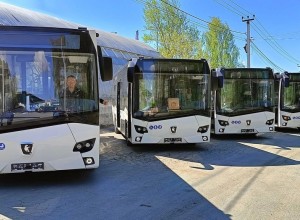 В области утвердили планы обновления общественного транспорта до 2030 года