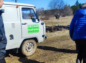 Внеплановые проверки населённых пунктов Кушвинского городского округа