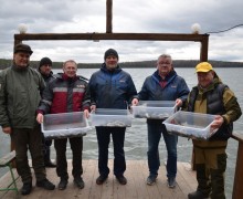 Предприятие Красноуральска продолжает восполнять биологические ресурсы водоемов