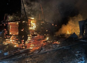 Пожар в коллективном саду ликвидирован