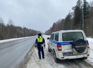 Госавтоинспекция призывает автомобилистов не торопиться с заменой шин