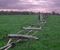 Неиспользованные земельные участки власти изымут обратно в казну