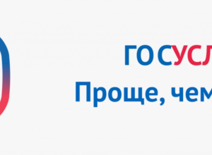 Сведения об оказании государственных услуг в РЭО ОГИБДД