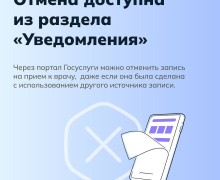 Запись к врачу стала еще проще. 