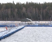 Государственную поддержку получат производители рыбы Свердловской области