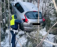 В Свердловской области начался противопожарный сезон. Указ губернатора