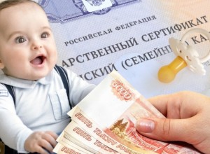 Свердловские женщины, родившие первого ребенка, будут иметь право на получение материнского капитала в размере 737 204 рублей  