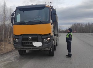 Госавтоинспекция  информирует о проведении ОПМ “Грузовик”