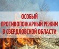 В Свердловской области с 25 апреля начнет действовать особый противопожарный режим 