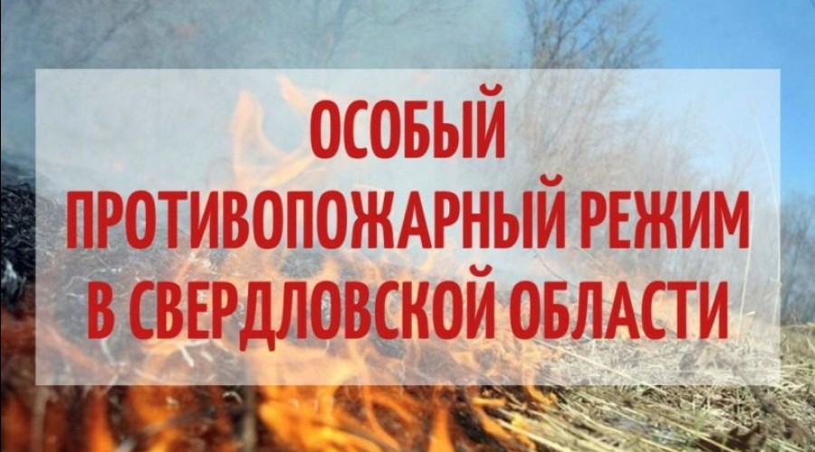 В Свердловской области с 25 апреля начнет действовать особый противопожарный режим 