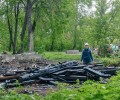 «Из пепла в цвет»