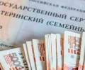 Россияне смогут получить остаток от маткапитала выплатой
