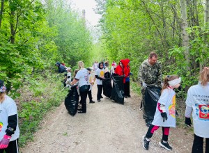 Сделать город чище