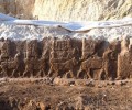 2000-летнего монстра откопала в Ираке уральская студентка