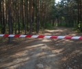 Житель Кушвы осуждён за незаконную охоту на лосей